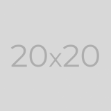 20*20